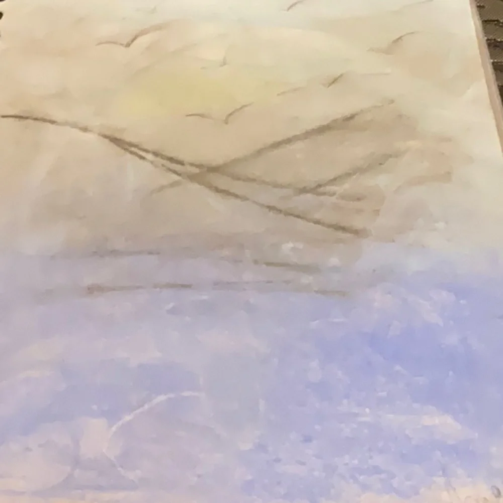 Fuzzy view - Picture 3 of 3